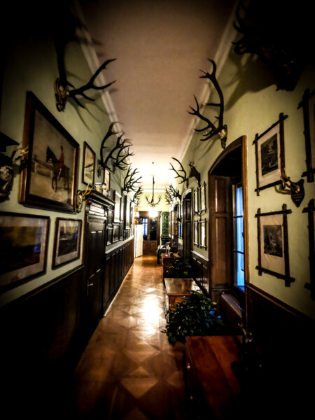 © Nepodléhá CC, autor Pavel Leuchter